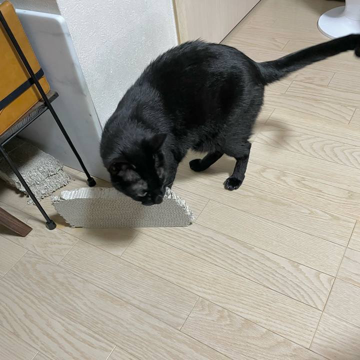 848bf546 a59d 4091 96b6 37b727adbc33 1654871706581