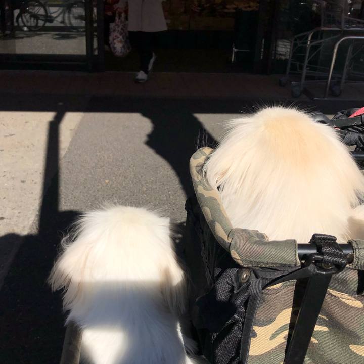 848c0ea6 e493 4237 ae3b 84f41980fbc0 1542421990447