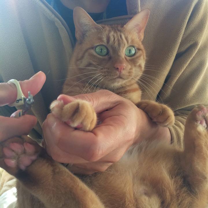 848c1e12 839e 40ac b95b 9b75f616c277 1544917229112