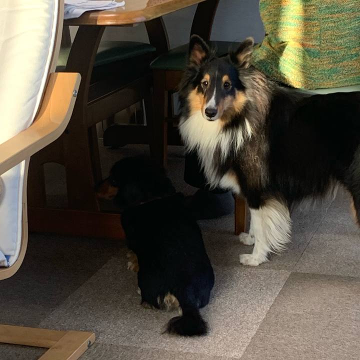 848c22cd e781 4d42 9ccf 3c7e8c87a344 1576278306847