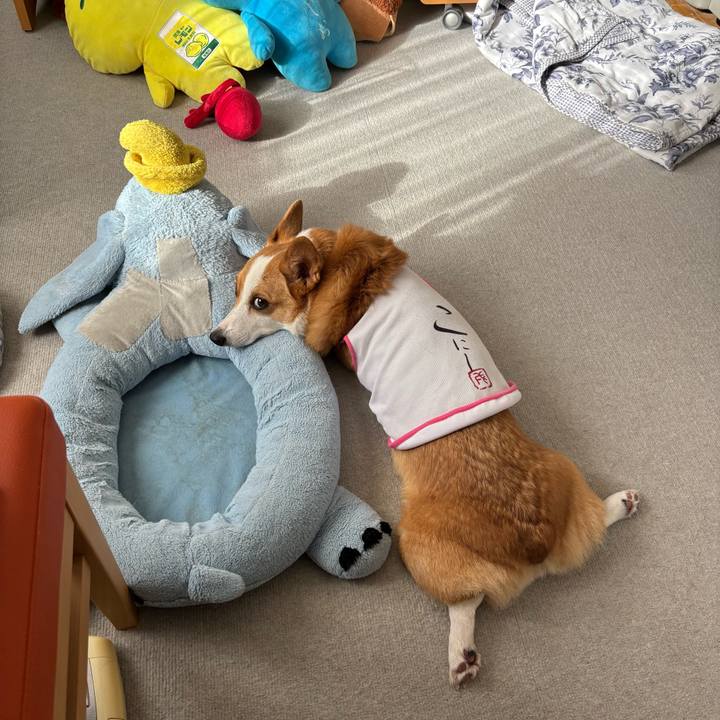 848c261c d4a6 4c4f 97b7 24a0f00f0bca 1759145646530