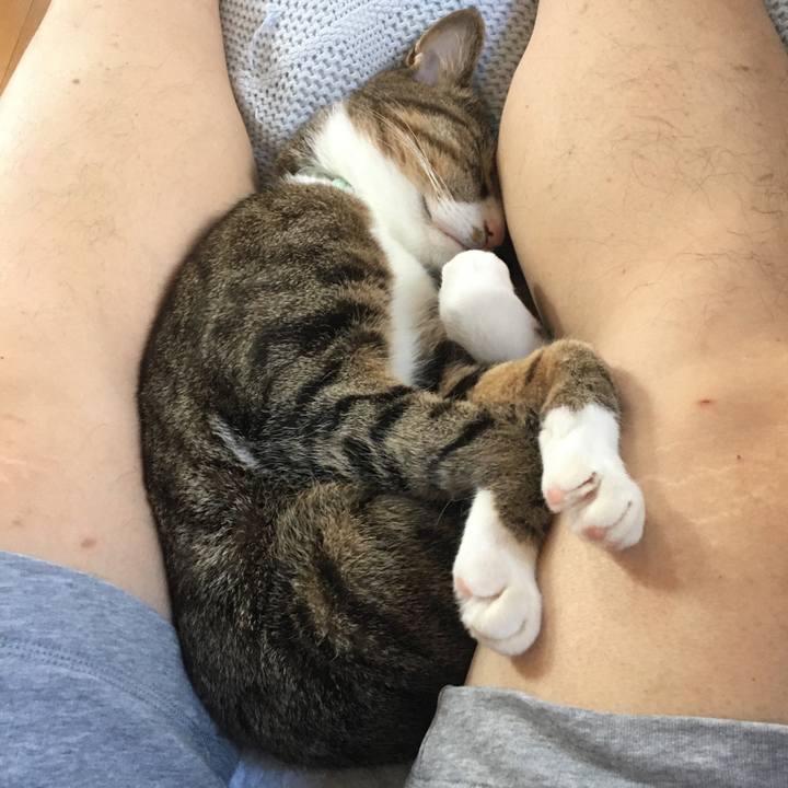 848c35c0 6259 4de0 84b3 d0dc9ec20ddf 1700372936111