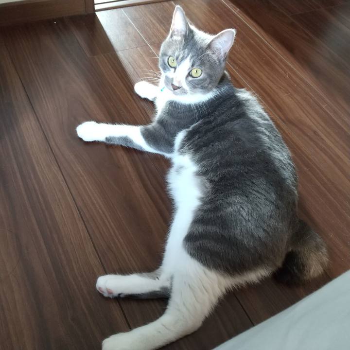 848c46ef e4f2 4b75 8681 ba682086bfdc 1602025028320