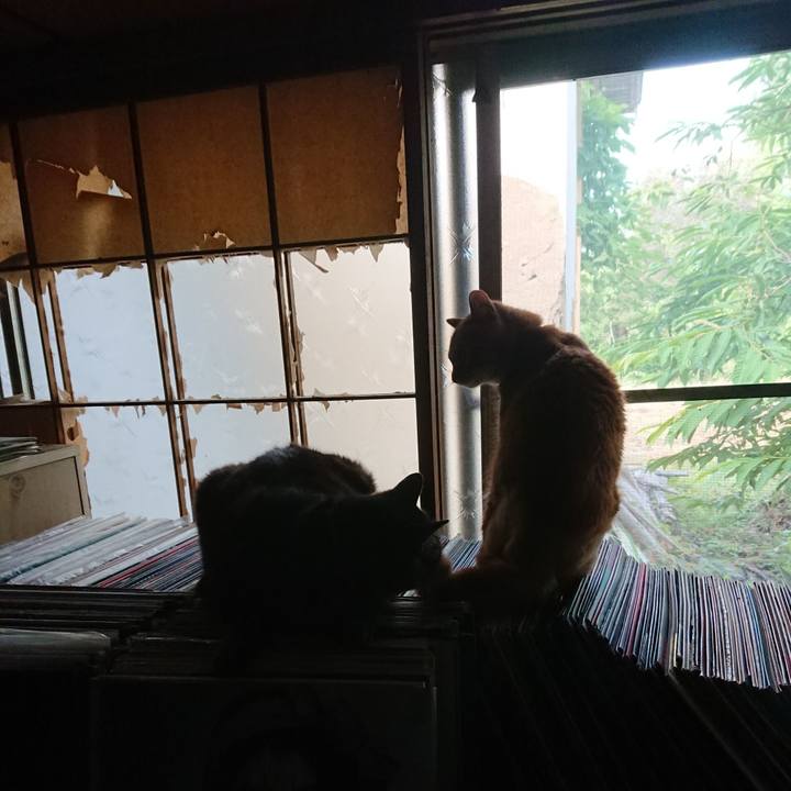 848c4824 dcc2 44ac bc2a 89f41ecd1c6b 1657062547533