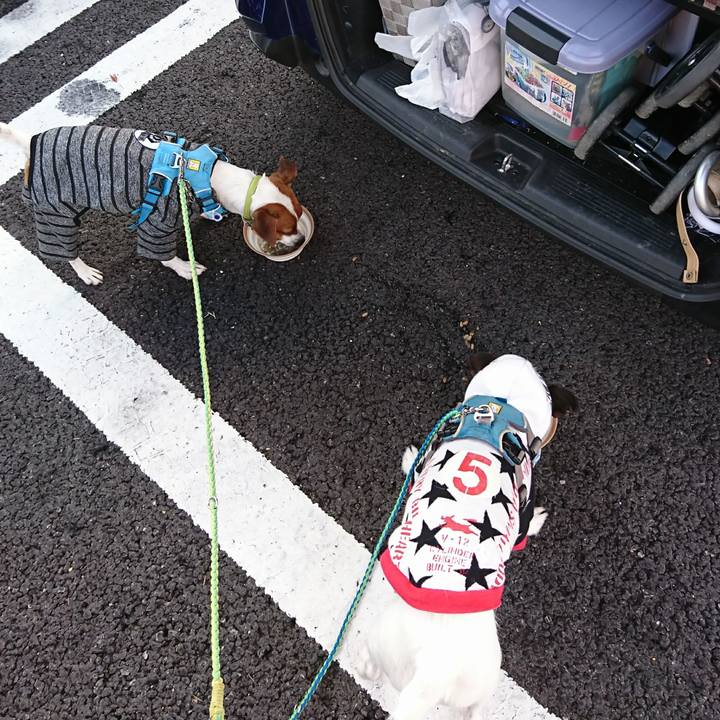 848c5b64 3bab 490d 9f82 73118c6ebec4 1606002033468