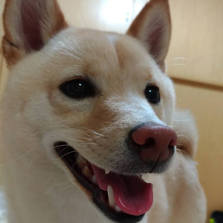 848cba8e c391 497c a9eb 7d3f36e3aa24 1524227528128