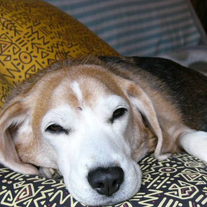 848cbb9c 309b 4f31 a3f8 f3c36f9681f8 1659917591261