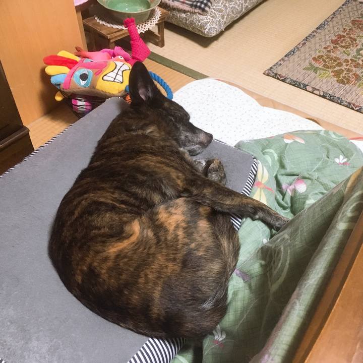 848ccbca e15b 4fc1 a1c5 c2b4a4817916 1545920252086