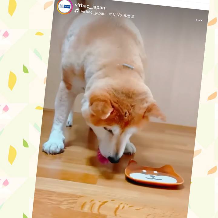 848d5642 c2f3 42f6 9a5c 9b1dcabfc9f5 1726825343711