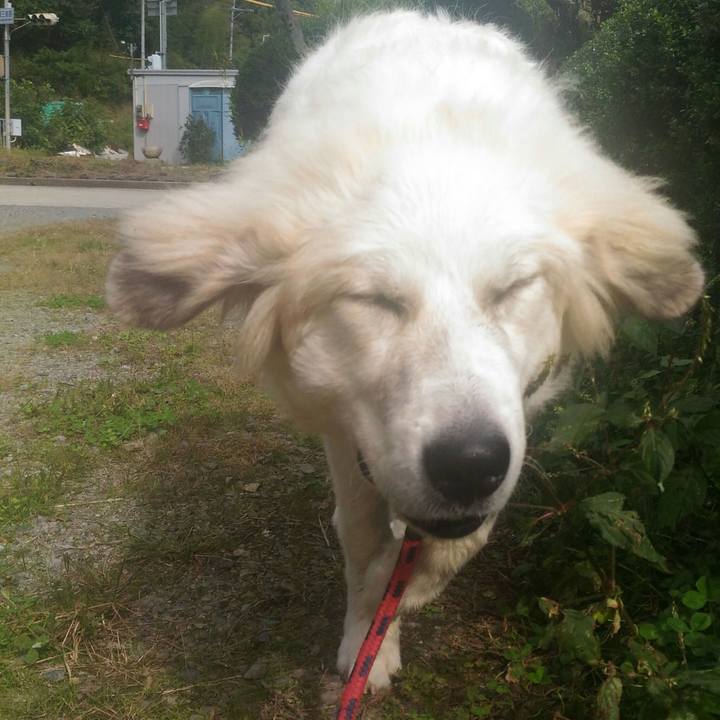 848d7d8a f822 4c2c 9f1b 237c36189504 1542722539536