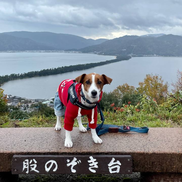 848d8395 414e 4d92 9734 a1daa1d04e41 1637754033992