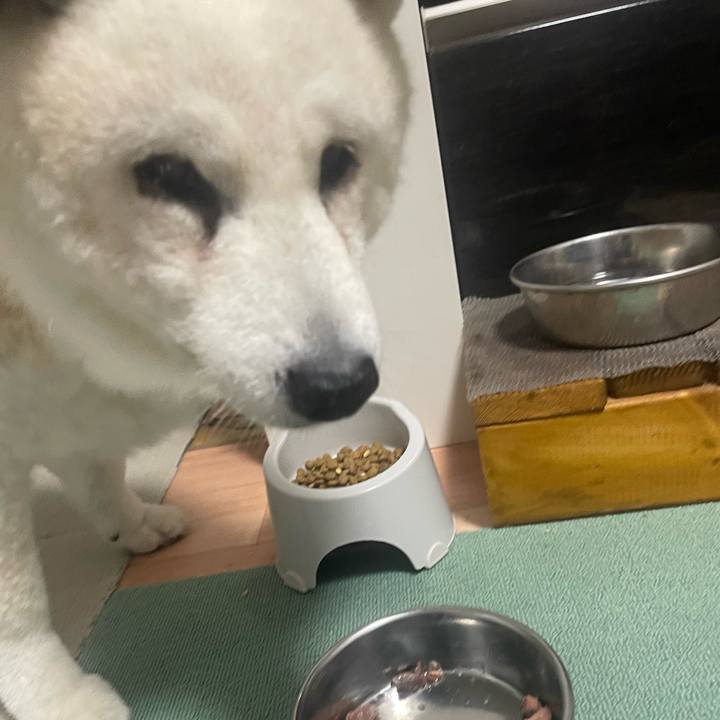 848dc13a 8456 4ee1 a882 e358dfe4dba0 1731418785098