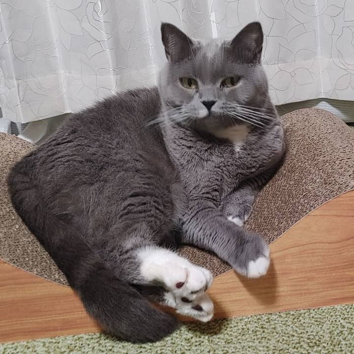 848deca6 77e7 4114 a4d6 e0d008c8fbb4 1634378349756