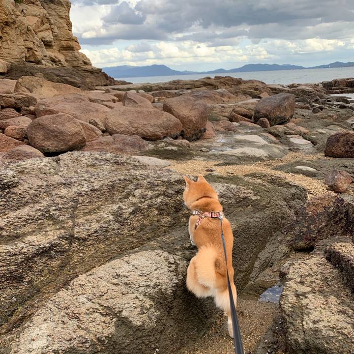 848e1b68 19d0 4aa2 847f c339ae0e4056 1665230061789