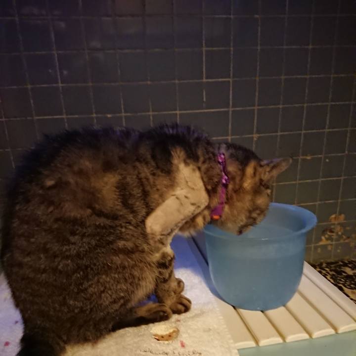 848e2135 13b3 4d85 b9b2 e923bb57ad6c 1588759047049