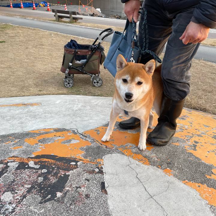 848e7fad 822d 47da 8473 89d8e75f62cf 1674123892489