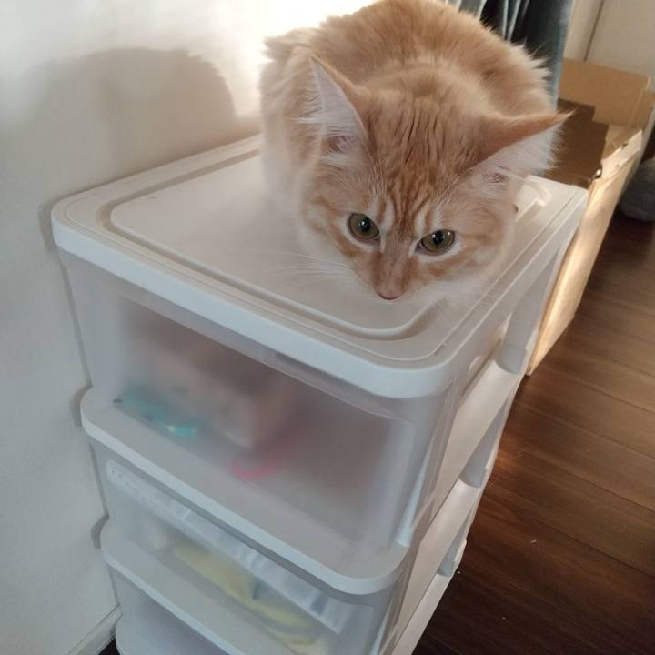 848e8ccd 745f 4e01 af3c 2ea609cf7ee3 1629946757144