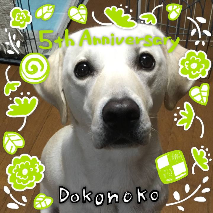 848ea9a5 a1a6 417e 9c34 19f656829b92 1623755208692