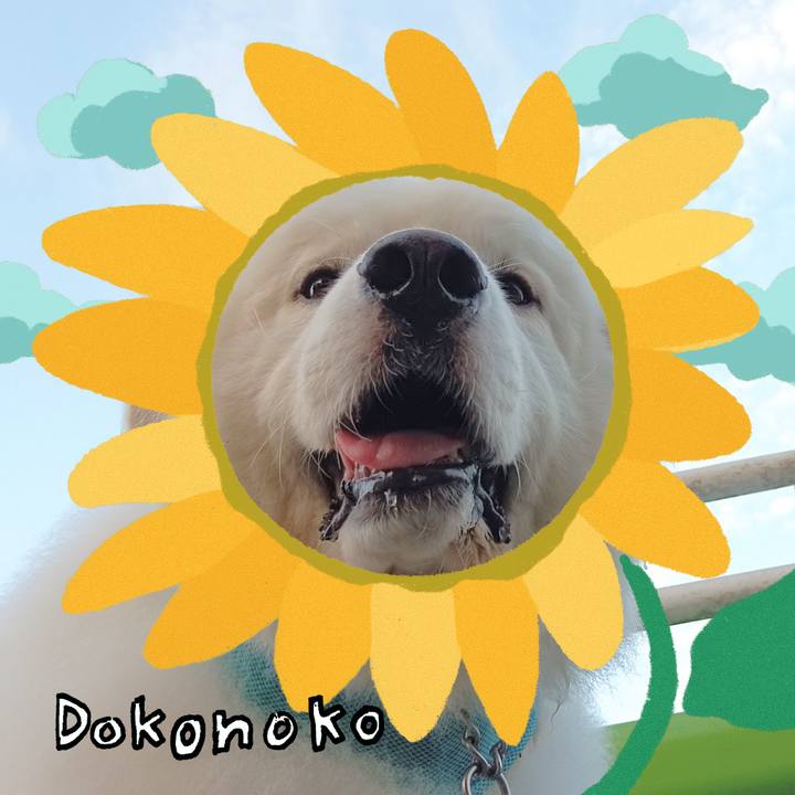 848eac64 b648 4049 94a9 1ecfbeda48e3 1723520794143