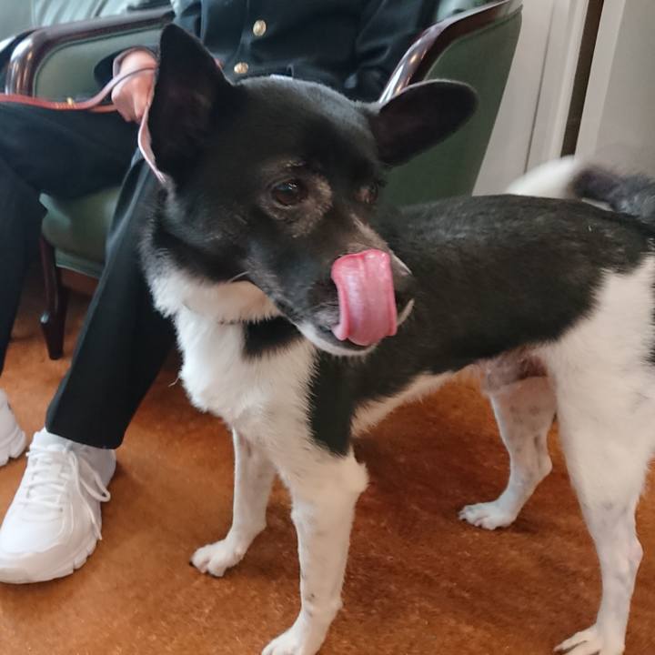 848eacc1 52f2 47b0 91b2 f56ce30149a9 1523431244183