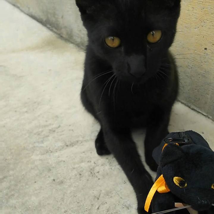 848eb70f 4bf9 4464 9ae1 ae6f452d6fcb 1537760644673