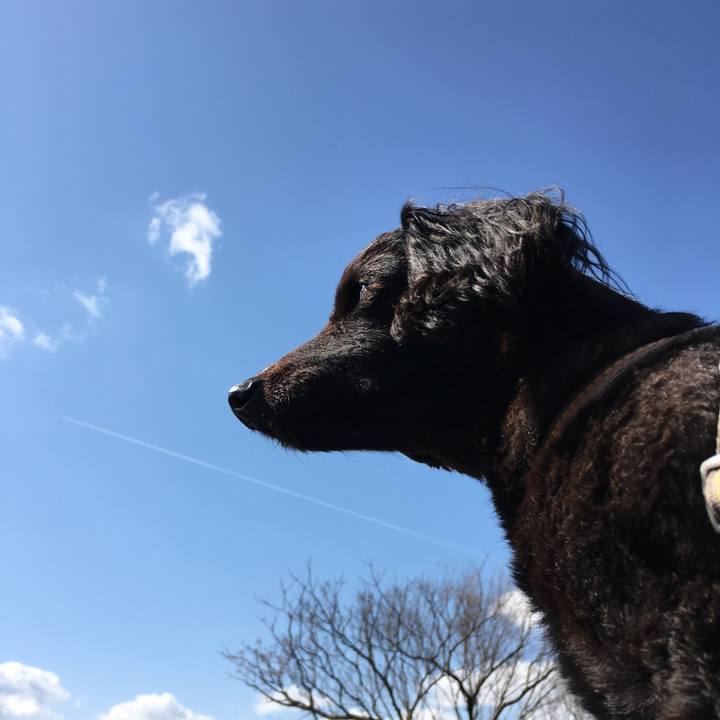 848ec862 69bd 48a5 bd33 2cfe12105c2d 1554773859795