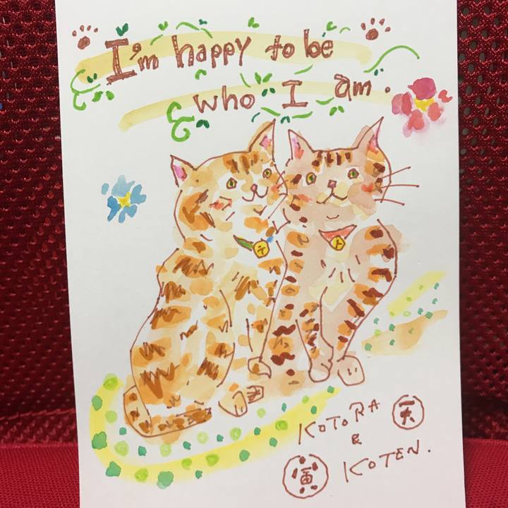 848ed68e 31d4 4494 bd67 bed62988d48f 1541939161467