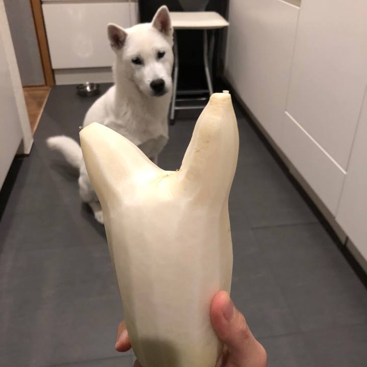 848f1730 486c 499b 89f3 2c3645be016a 1520331681053