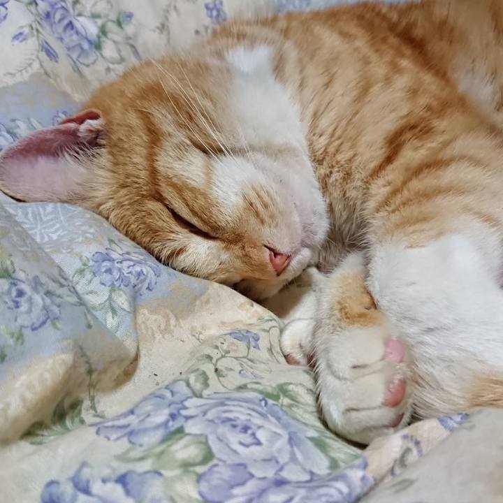 848f3813 0653 433b 8ce8 385159853589 1581856828150