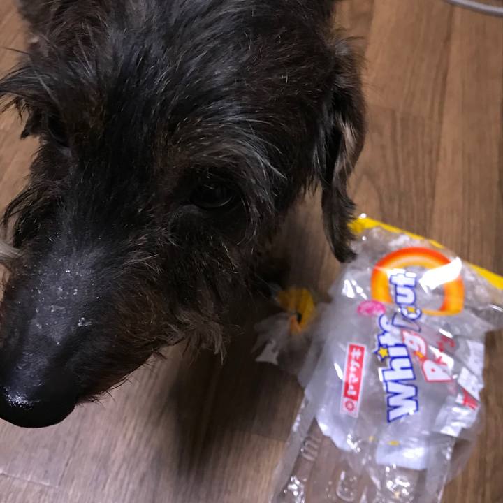 848f3907 c74b 4df1 87d3 5d162bf14afd 1521794821013