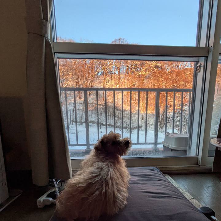 848f66ca e061 461e be5d cde5ffc50631 1740173742970