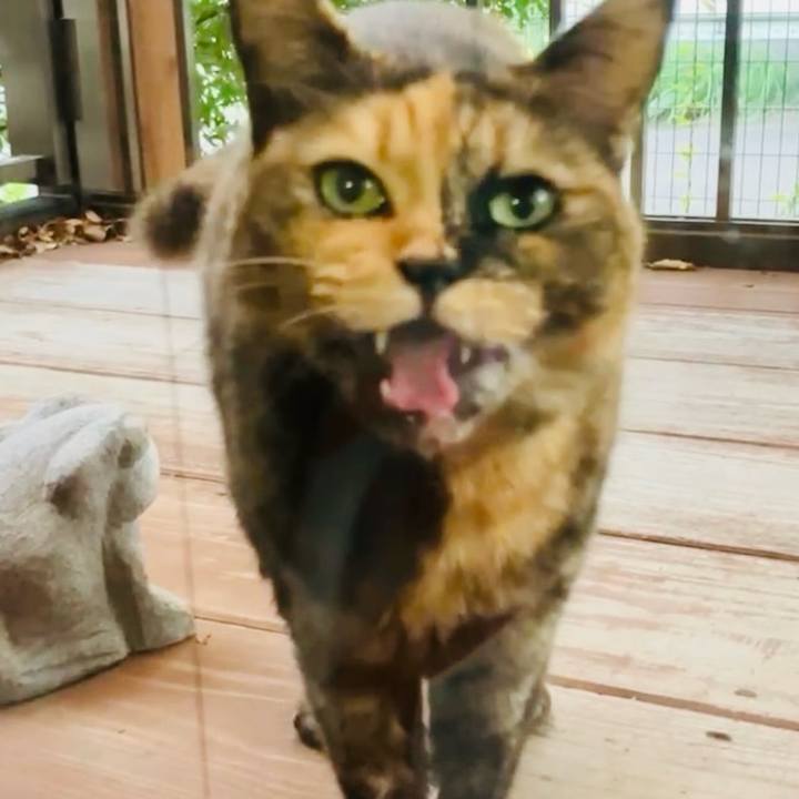 848f978c 30d8 4d0e 8c1c a802a627227a 1730110458296