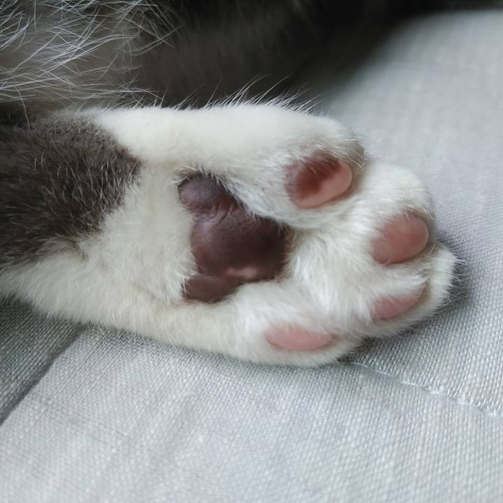 848fcf84 f7e7 4636 a2e5 6ca911ba1fe6 1589237724738