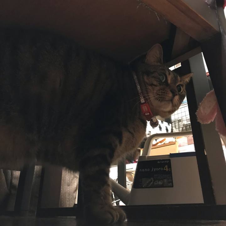 84902dac 8582 47fe 8d7a 87ca6a00f962 1651752017650