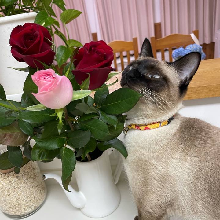 84903f8c 1163 48dd a316 582c42516610 1719777367550