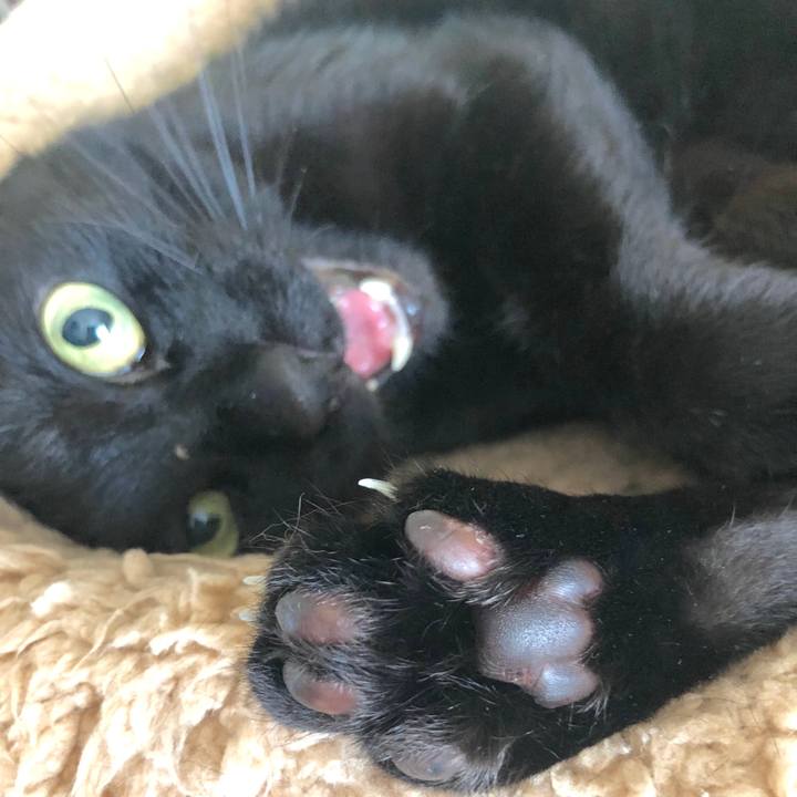 84906982 985d 4d60 ae14 78ee0072742c 1561032216497