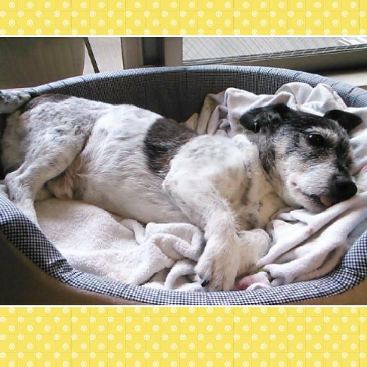 84907ba4 d960 4a3d 9908 1c465b84e6c5 1528675124564