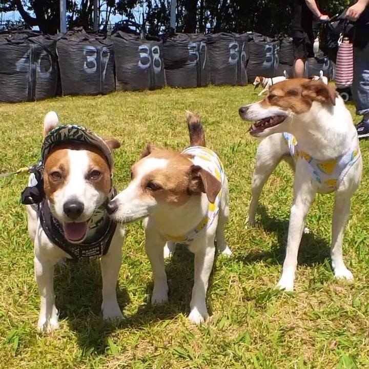 849098fc 5829 4217 9eba 30008b5da3f4 1715565917309