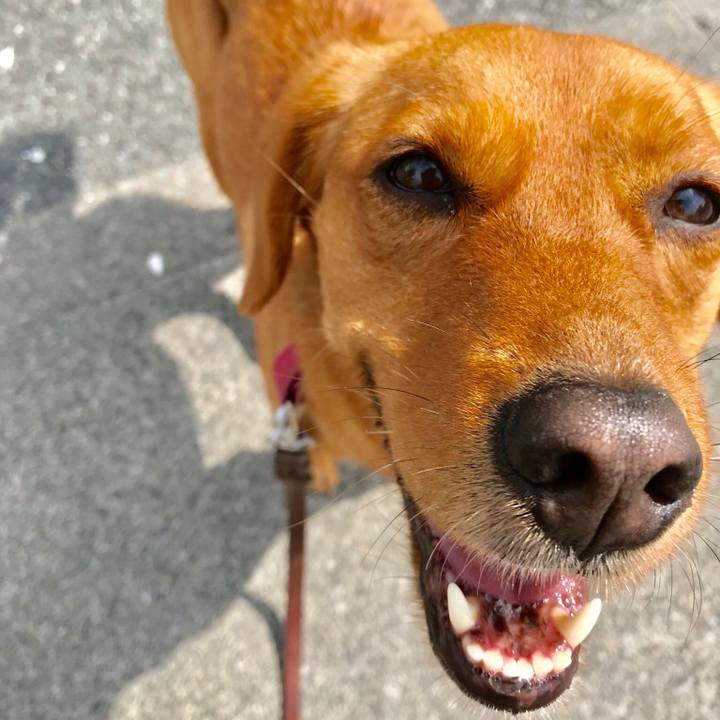 8490c369 a903 4245 ad65 bd55eed16869 1525055476091