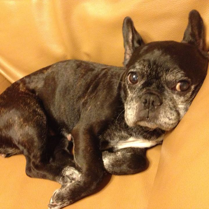 8490c94f 162d 4a01 91a4 f146d0006beb 1737551733742