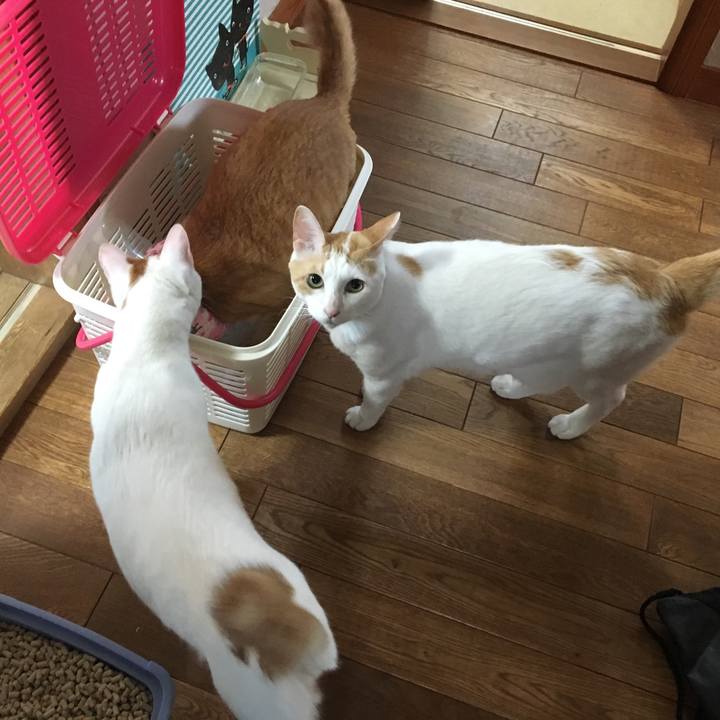 8490e2d7 c5bc 4d13 afd5 843903c0282b 1524958834591