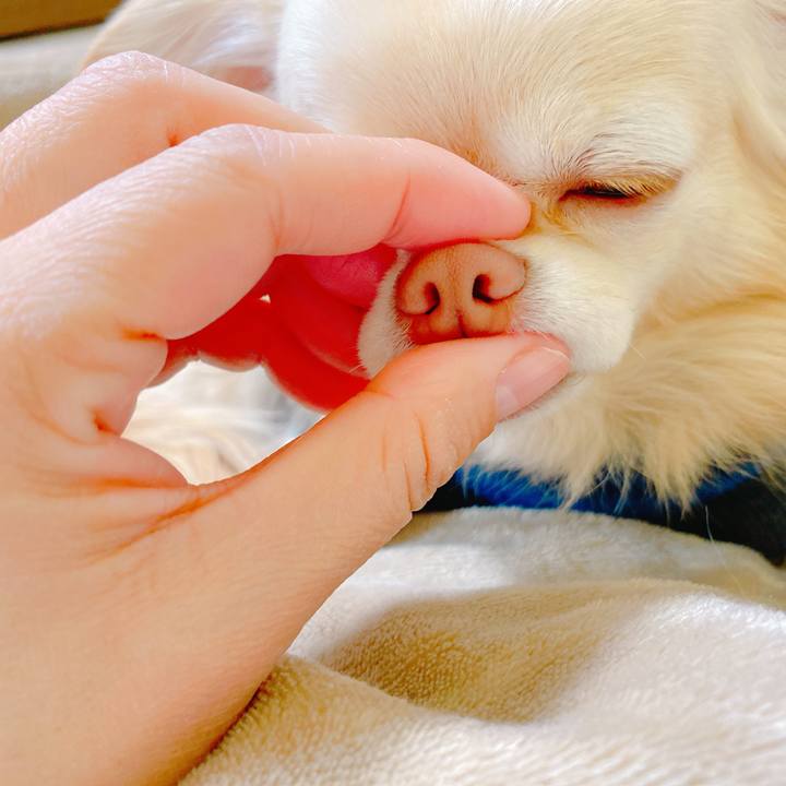 849124f9 f732 4ce5 bd87 fb81072cf8e4 1641728343868