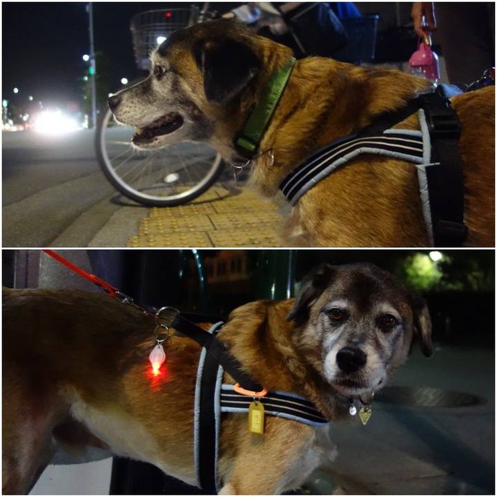 84912e44 36b4 4082 bdc6 f33af0b8dd5b 1572690408522