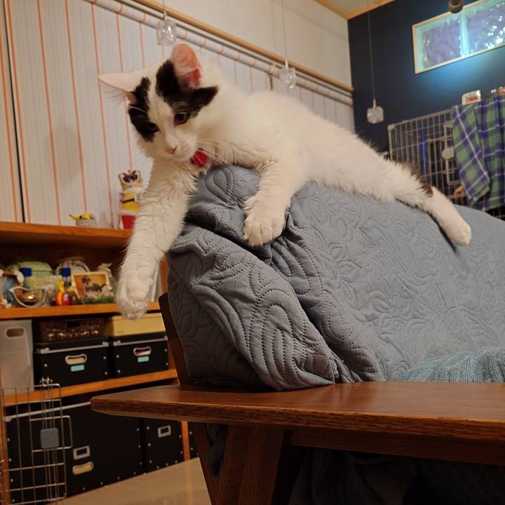 8491389f 56ea 436a a03a bbeef59c42a2 1765540794566