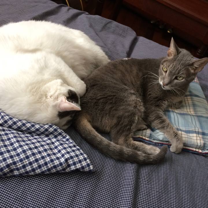 849163ad 8507 41e0 85f8 e30320d6074d 1555511237437