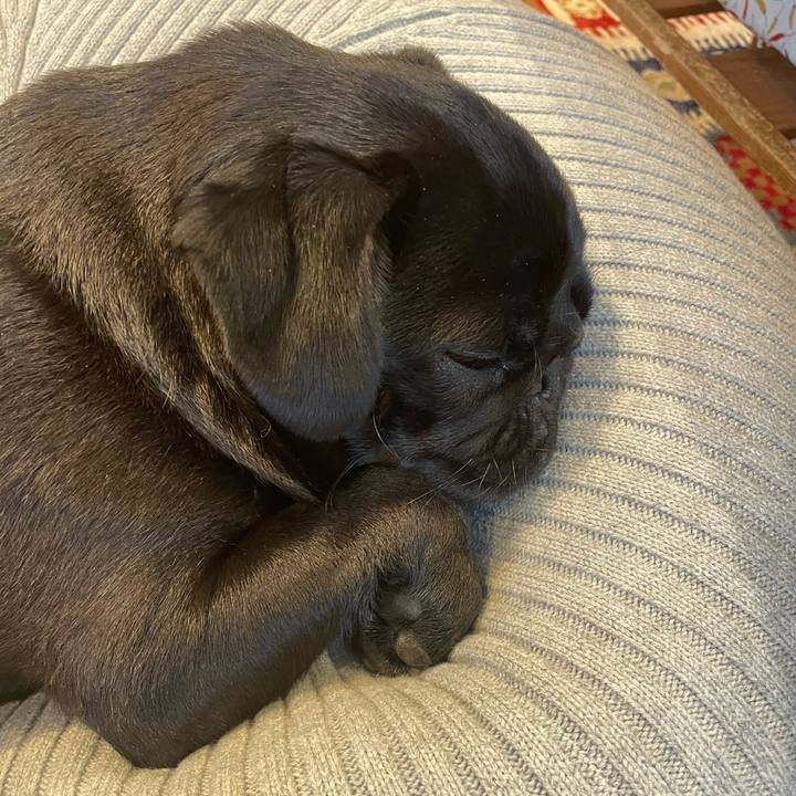 84918fd4 ca12 4738 801a 1d046f65c048 1619685841783