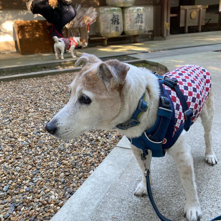 84919547 8d8f 4ea1 92dc 7433c648acb4 1672561345688