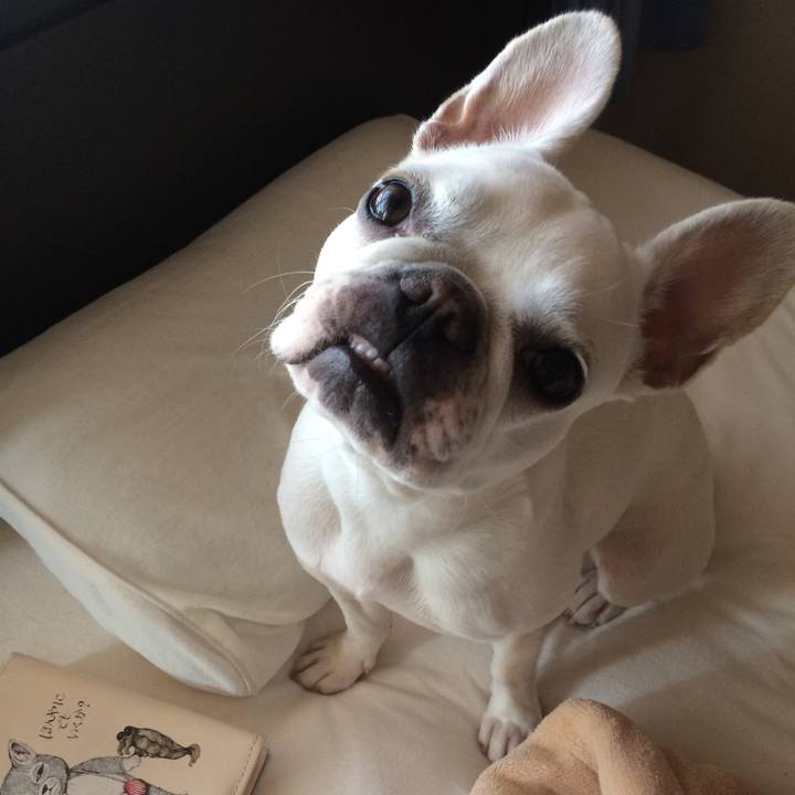 8491cff2 856c 4f68 b865 84896ab0c25e 1526386080600