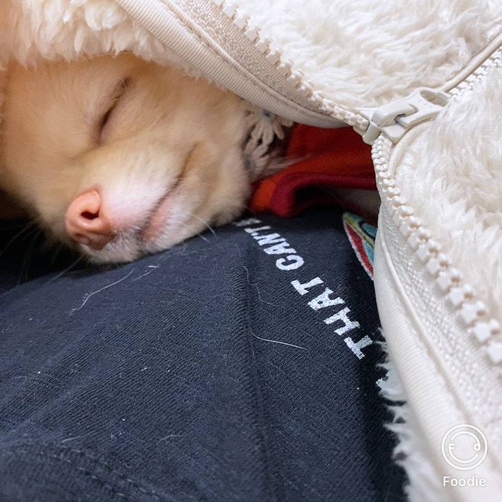 8491d6e8 4437 4549 ade1 9f901fb0e47c 1609134146245