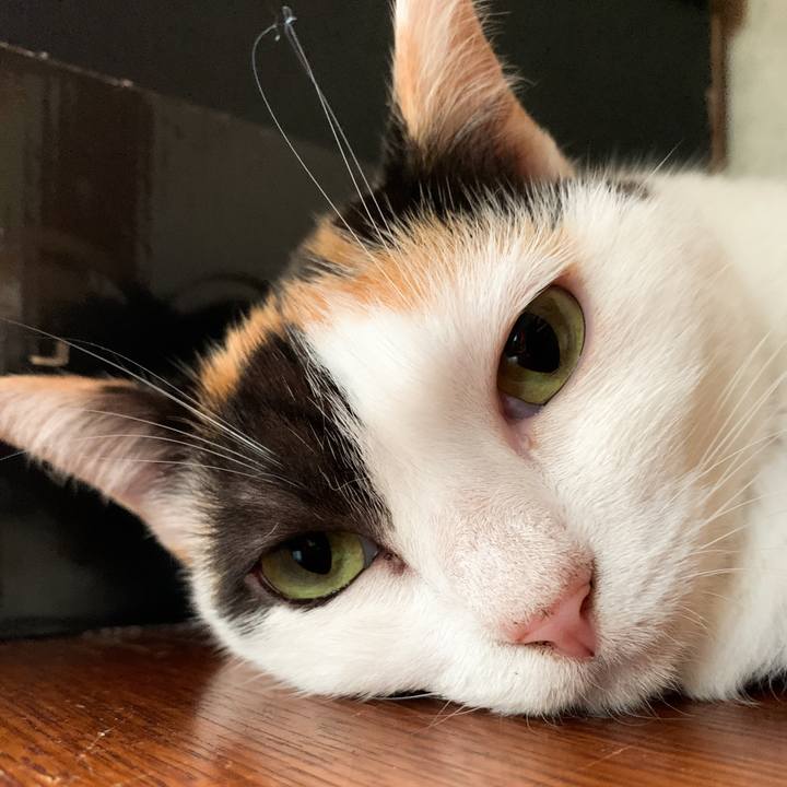 8491d77d bd72 4ca5 b618 faecc78888c5 1571881601045